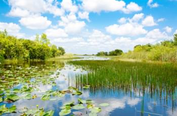 Everglades Nationalpark