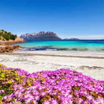 Olbia Mietwagen