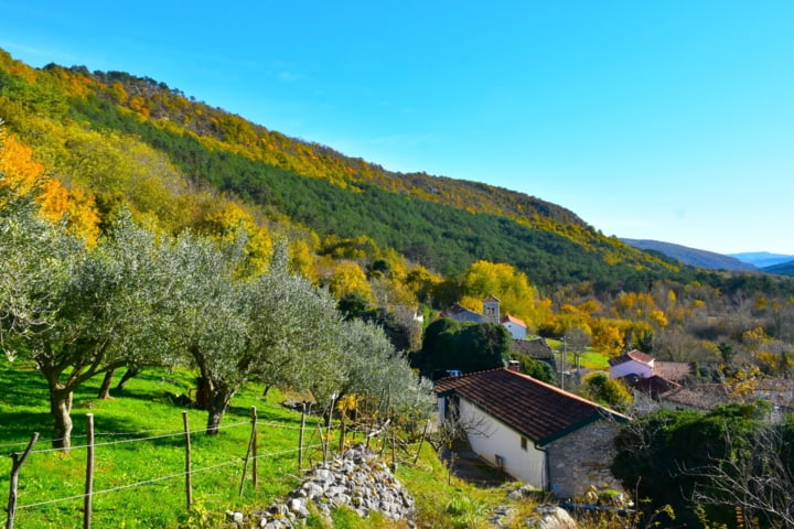 Weinberge in Smokvica
