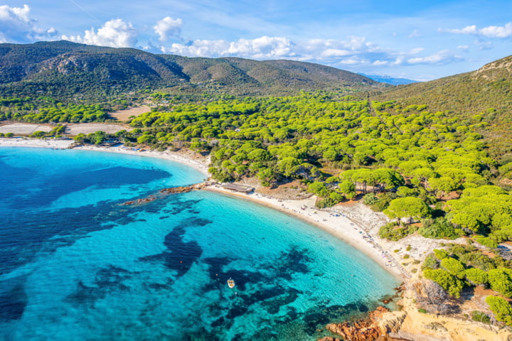 Palombaggia Strand in Korsika