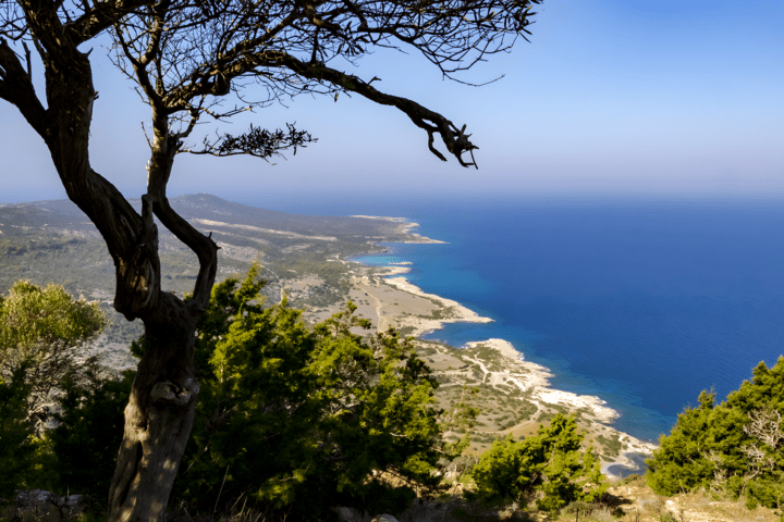 Blick auf Paphos