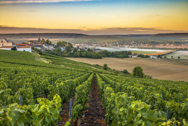 Champagne-Region in Frankreich