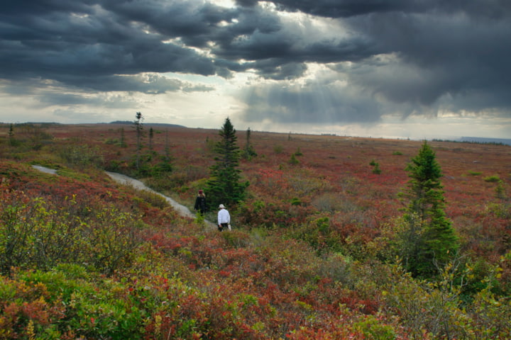 Wanderweg im Kejimkujik National Park