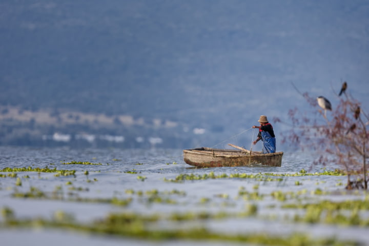 Fischer auf dem Lago de Chapala