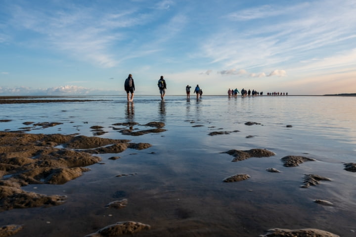 Wattenmeer auf Sylt