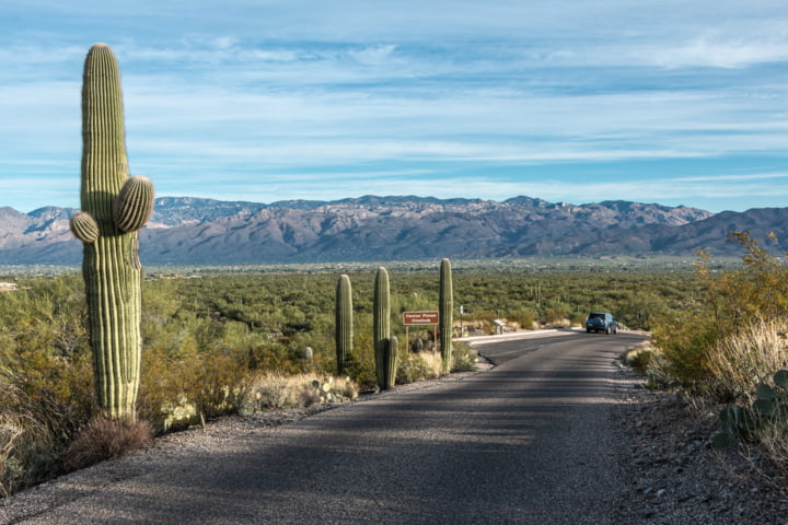 Straße im Saguaro Nationalpark