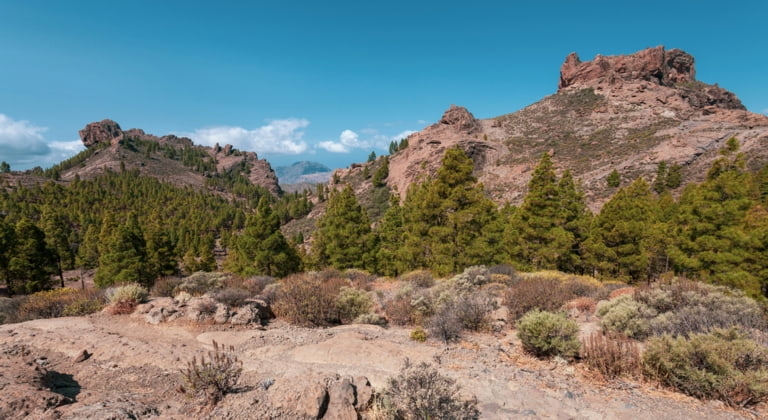 Roque Nublo